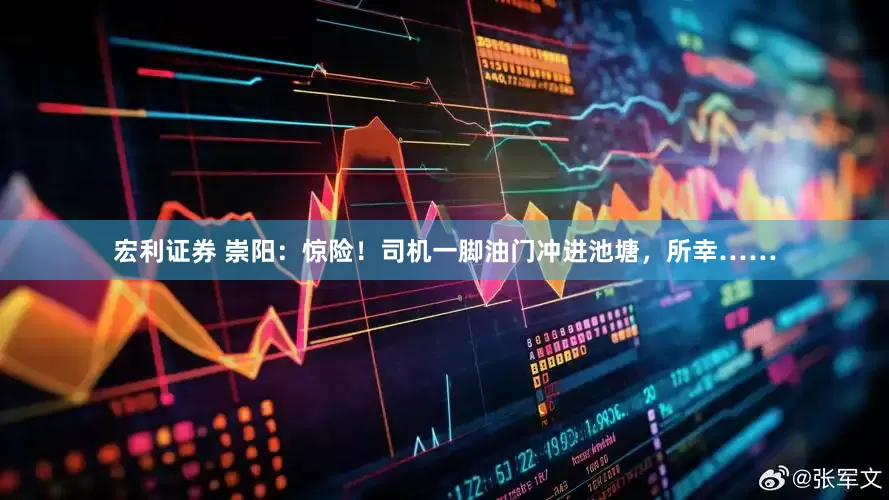 宏利证券 崇阳：惊险！司机一脚油门冲进池塘，所幸……